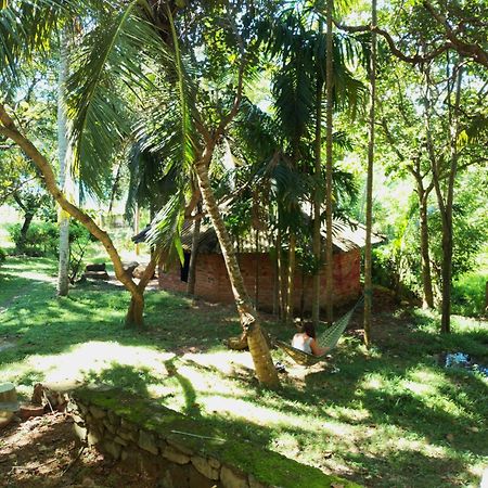 Hidden Well Hiriketiya Hostel Dikwella Bagian luar foto