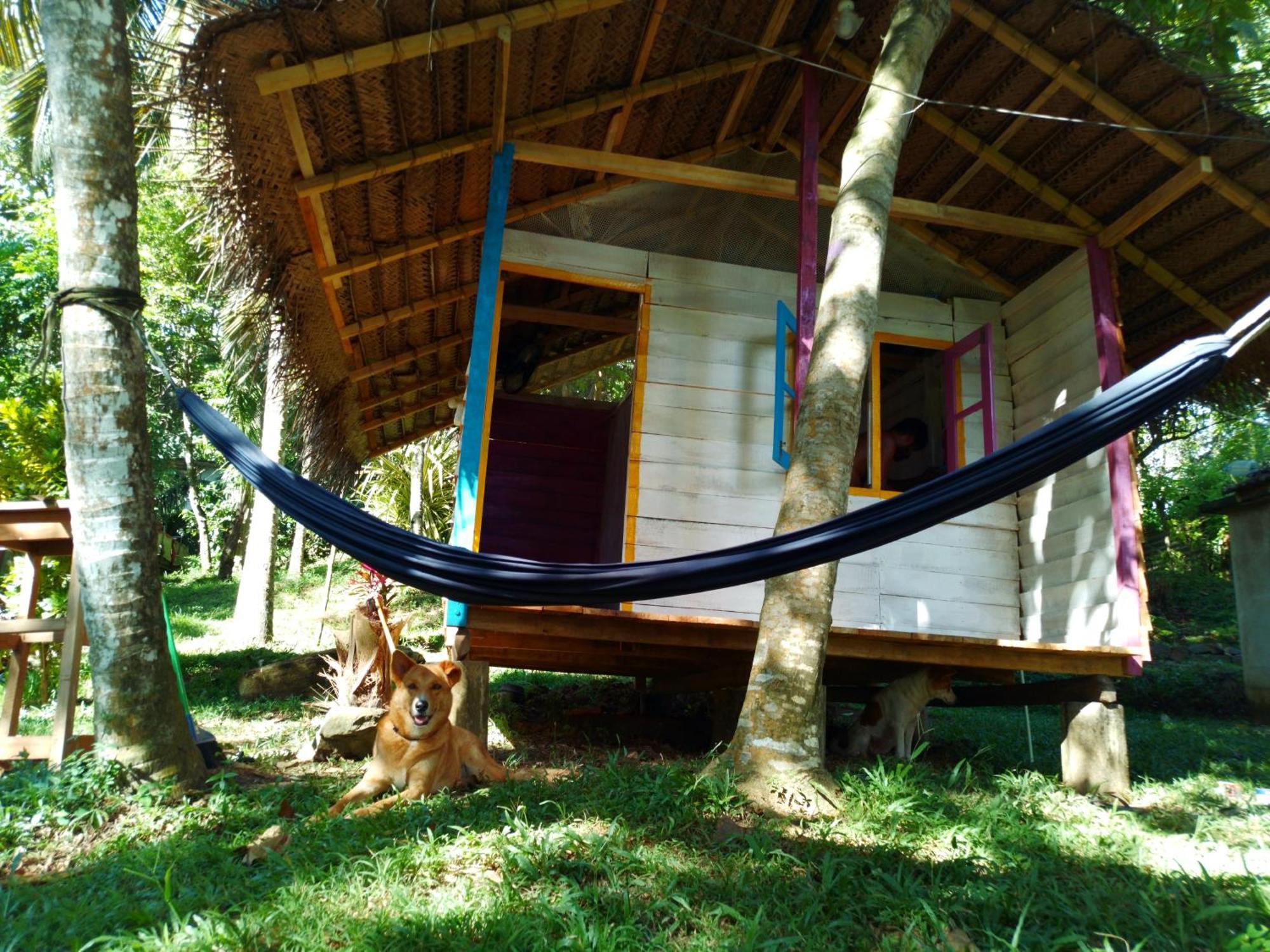 Hidden Well Hiriketiya Hostel Dikwella Bagian luar foto