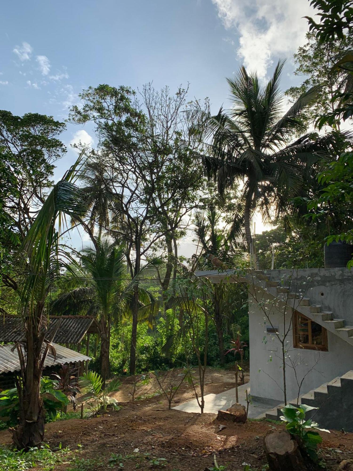 Hidden Well Hiriketiya Hostel Dikwella Bagian luar foto