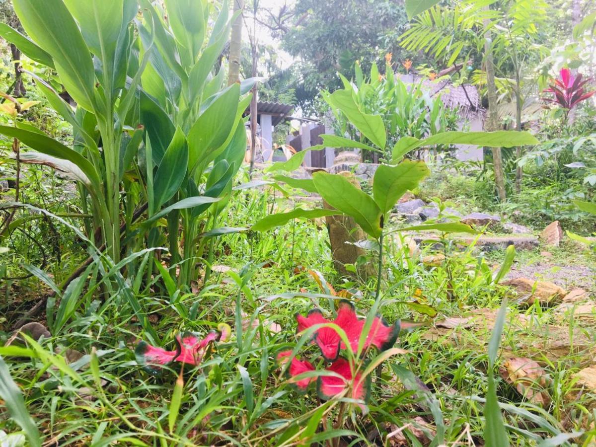 Hidden Well Hiriketiya Hostel Dikwella Bagian luar foto