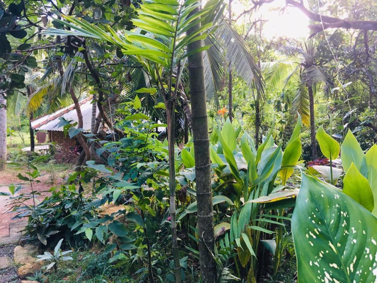 Hidden Well Hiriketiya Hostel Dikwella Bagian luar foto